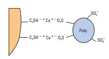 Polyanion adsorption on a cement particle surface.