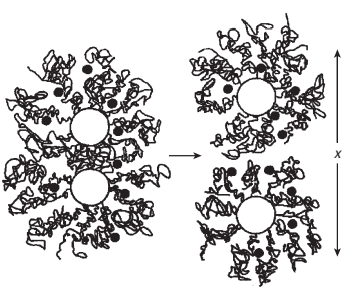 Schematic representation of steric repulsion between cement grains with adsorbed polymer dispersant.
