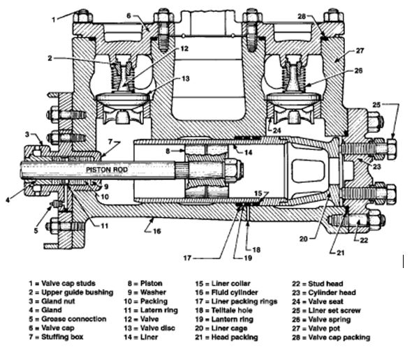 Cross-section of a double-acting pump (the discharge valves only are visible)