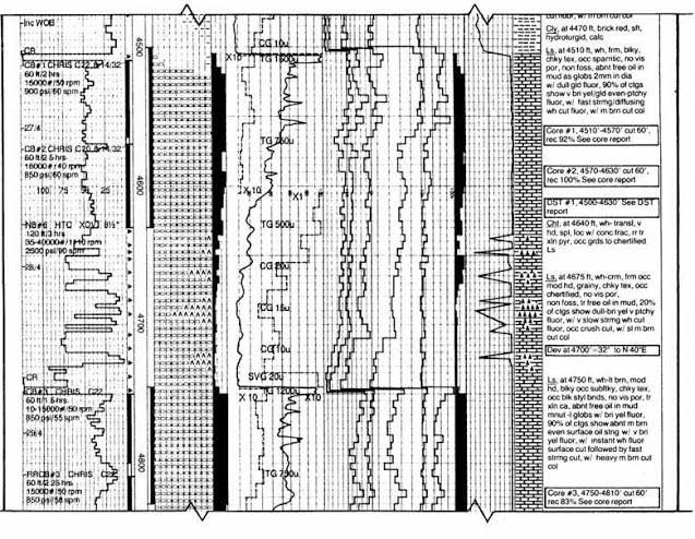 formation evaluation log