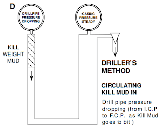 second circulation