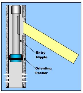 multilateral entry 