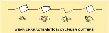 Figure 10  : Cylinder Cutters Wear Characteristics In PDC Bit Dull Grading