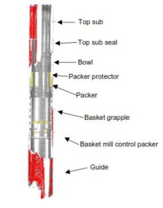 Packer Type Patch Casing