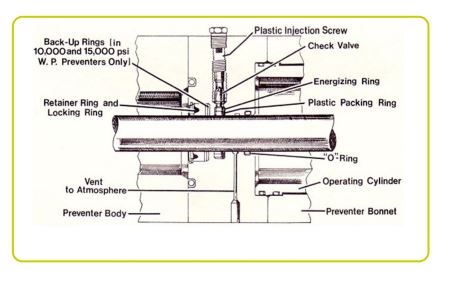 Secondary Ram Shaft Seal