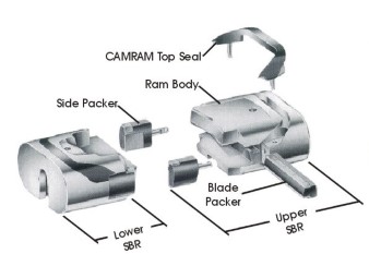 Shear/Blind Ram