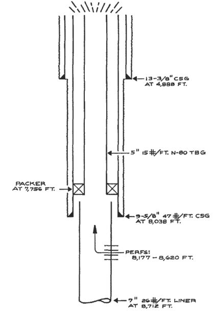 wellbore schematic