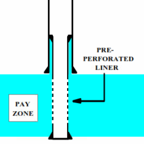 Screen/Pre-perforated Liner 