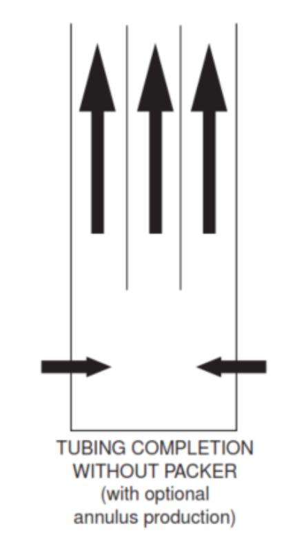 Casing and Tubing Flow For Single Zone Completion.