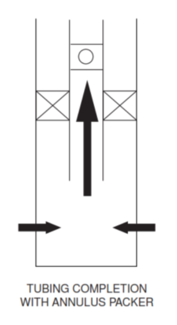 Tubing Flow With Annular Isolation (The Common Single Zone Completion).