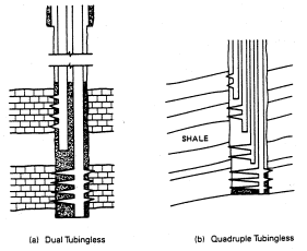 Multiple Tubingless