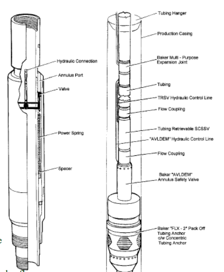 Annular Safety Valves