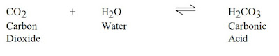 Treating Carbonate Contamination