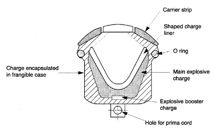Cross section of a capsule charge