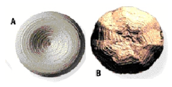 Drilling machine experiments show a 7-lobed hole bottom pattern made by a 6-bladed bit