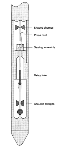 TCP gun