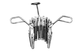 Casing rotary slips