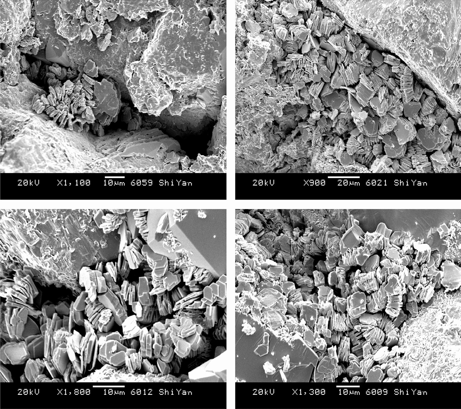 SEM images of kaolinite occupying pore spaces in sandstone, illustrating formation damage