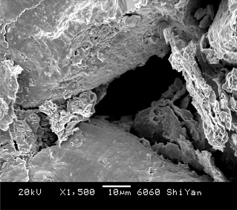 SEM image of chlorite in sandstone pore spaces after a water-injection experiment
